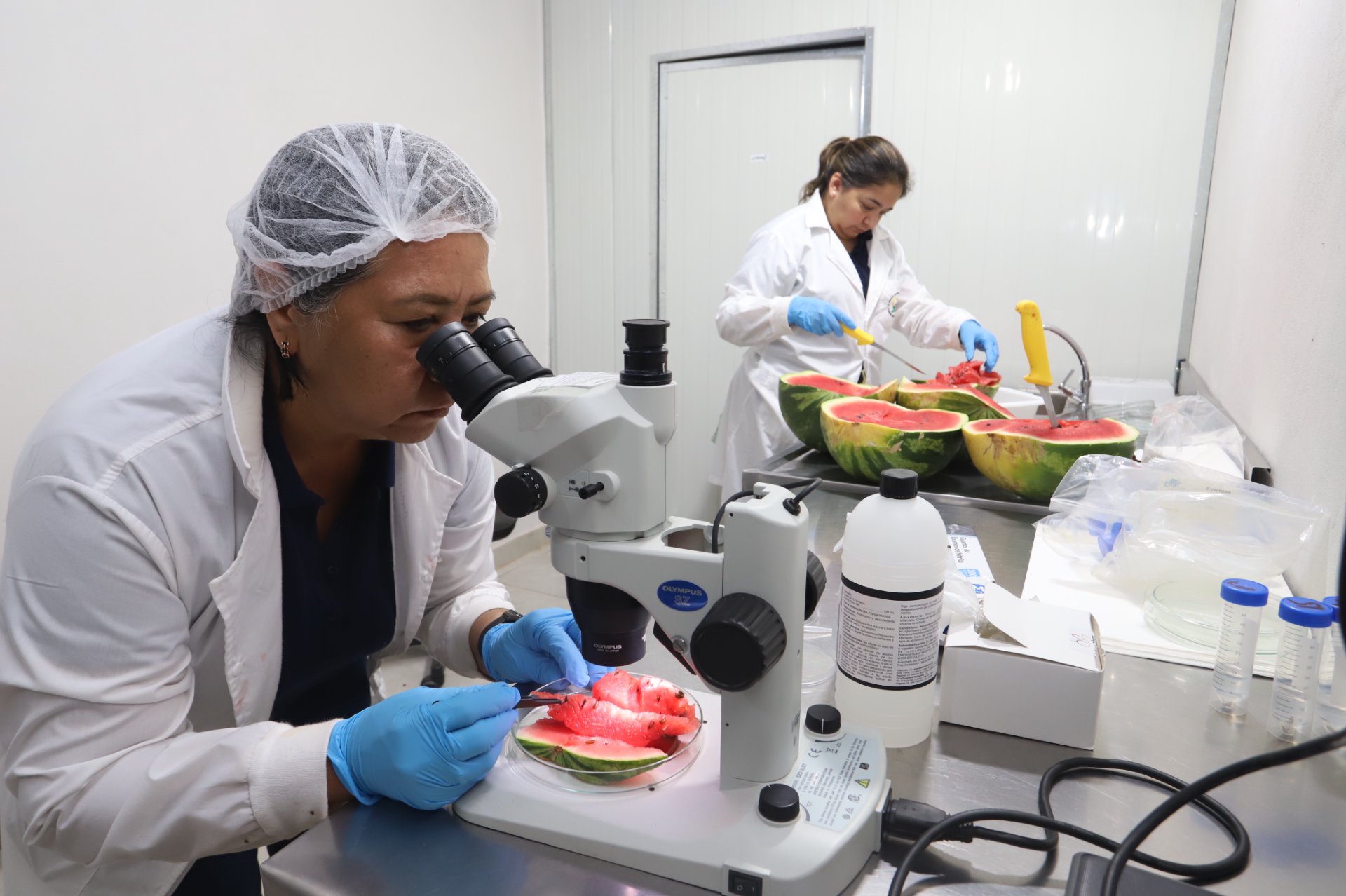 Laboratorio del SENAVE